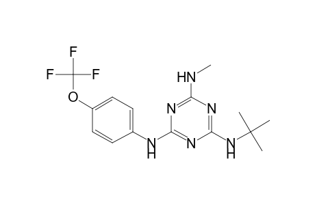 N-tert-Butyl-N'-methyl-N''-(4-trifluoromethoxy-phenyl)-[1,3,5]triazine-2,4,6-triamine