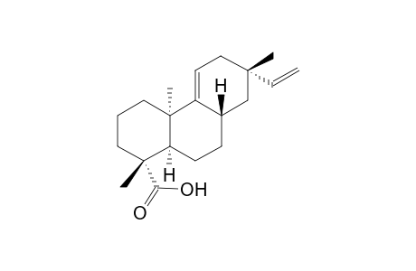 Pimara-9(11),15-dien-19-oic Acid
