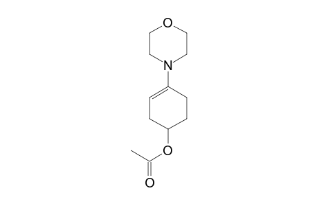 Acetic acid, 4-morpholin-4-yl-cyclohex-3-enyl ester