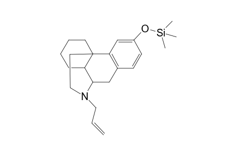 Levallorphan TMS