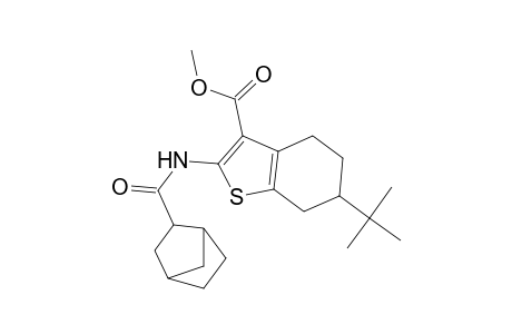 2-[(Bicyclo[2.2.1]heptane-2-carbonyl)amino]-6-tert-butyl-4,5,6,7-tetrahydrobenzo[b]thiophene-3-carboxylic acid, methyl ester