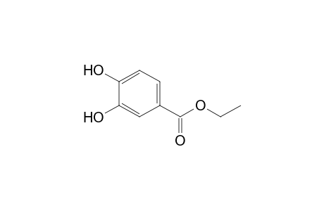 Protocatechuic acid ethyl ester