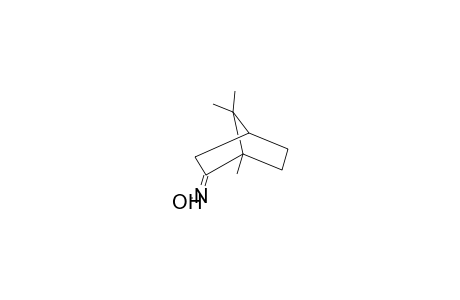 (1R)-Camphor oxime