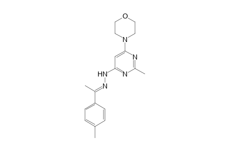 (2-methyl-6-morpholino-pyrimidin-4-yl)-[(E)-1-(p-tolyl)ethylideneamino]amine