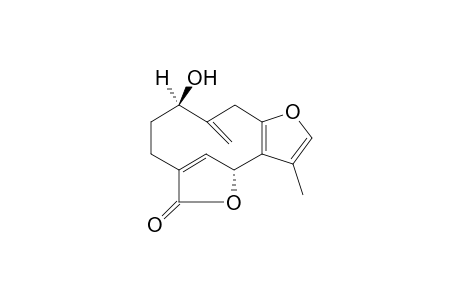 Parvigemone