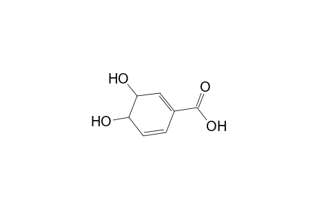 1,5-Cyclohexadiene-1-carboxylic acid, 3,4-dihydroxy-