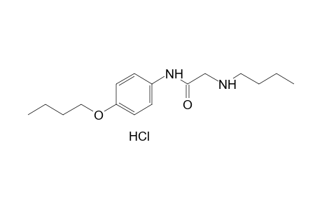 4'-butoxy-2-(butylamino)acetanilide, monohydrochloride