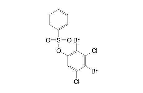 BENZENESULFONIC ACID, 2,4-DIBROMO-3,5-DICHLOROPHENYL ESTER