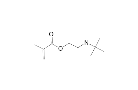 2-(tert-Butylamino)ethyl methacrylate