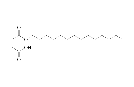 Maleic acid, monotetradecyl ester