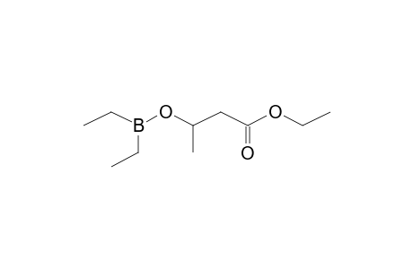 3-Diethylboranyloxybutanoic acid ethyl ester