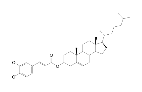 Cholesteryl - 3,4-dihydroxycinnamate