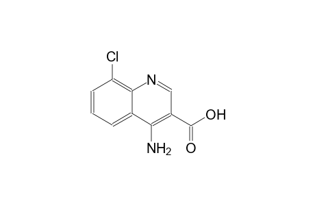 3-quinolinecarboxylic acid, 4-amino-8-chloro-