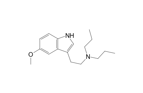 5-MeO DPT