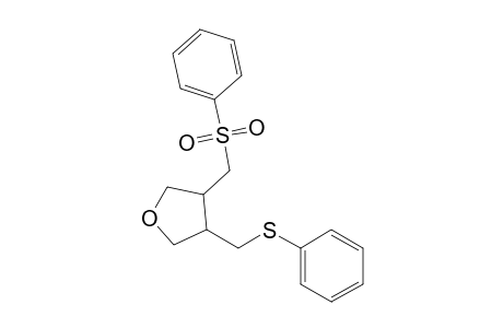 3-[(Benzenesulfonyl)methyl]-4-[(phenylthio)methyl]tetrahydrofuran