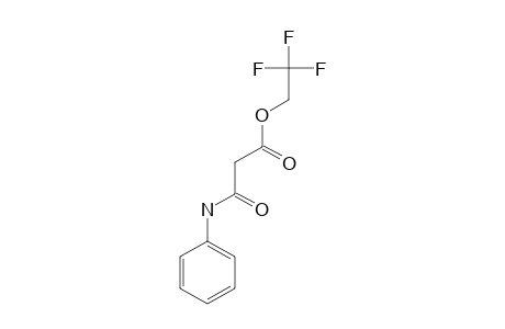 ANILIDO-(2,2,2-TRIFLUOROETHOXYCARBONYL)-METHANE