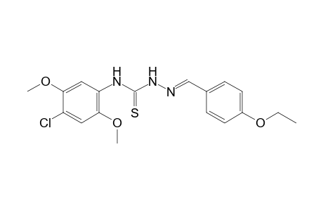 4-(4-chloro-2,5-dimethoxyphenyl)-1-(p-ethoxybenzylidene)-3-thiosemicarbazide