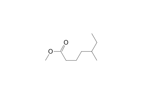 Methyl 5-methylheptanoate