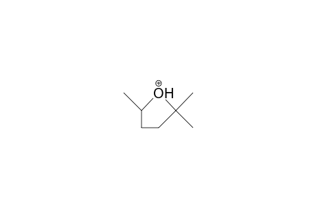 Protonated 2,2,5-trimethyl-tetrahydro-furan