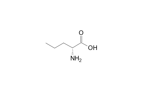 D-norvaline