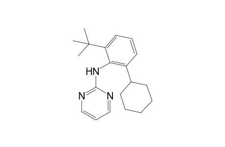 N-(2-tert-Butyl-6-cyclohexylphenyl)pyrimidin-2-amine