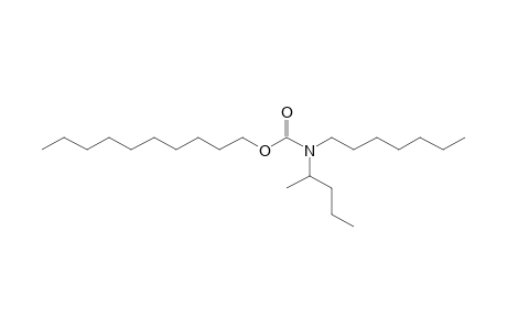 Carbonic acid, monoamide, N-(2-pentyl)-N-heptyl-, decyl ester