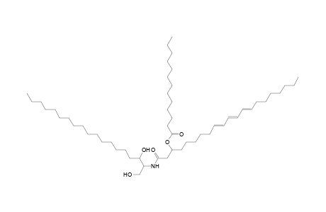 Cer 19:0;2O/21:3;(3OH)(FA 13:0)