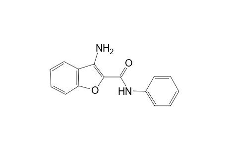 Benzofurane-2-carboxamide, 3-amino-N-phenyl-