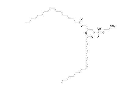 PE 18:1_18:1