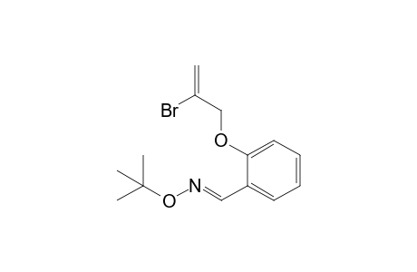 2-(2-Bromoallyloxy)benzaldehyde O-tert-butyloxime