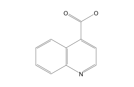 Quinoline-4-carboxylic acid