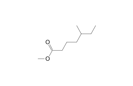 Methyl 5-methylheptanoate