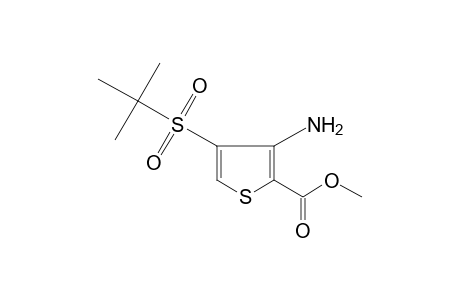3-amino-4-(tert-butylsulfonyl)-2-thiophenecarboxylic acid, methyl ester