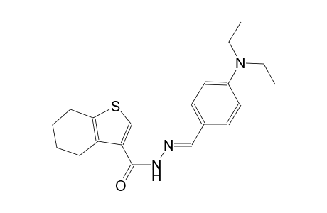N'-{(E)-[4-(diethylamino)phenyl]methylidene}-4,5,6,7-tetrahydro-1-benzothiophene-3-carbohydrazide