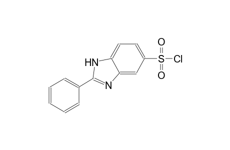 2-phenyl-1H-benzimidazole-5-sulfonyl chloride