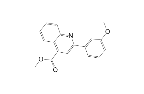 Methyl 2-(3-methoxyphenyl)-4-quinolinecarboxylate