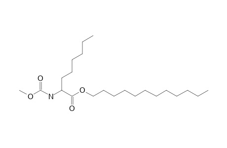 2-Aminocaprylic acid, N-methoxycarbonyl-, dodecyl ester