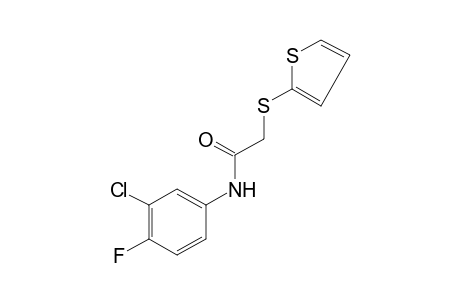 3'-chloro-4'-fluoro-2-[(2-thienyl)thio]acetanilide