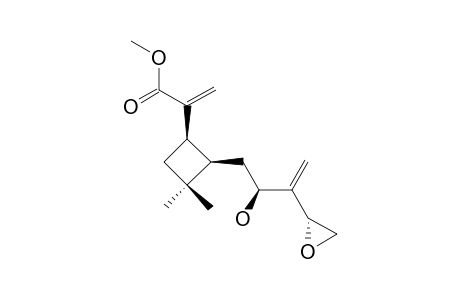 HEBELOPHYLLENE-F