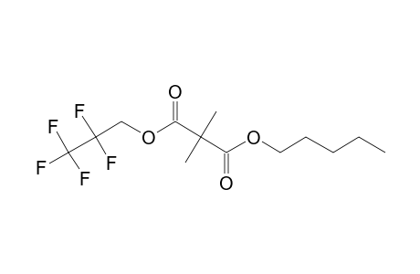 Dimethylmalonic acid, 2,2,3,3,3-pentafluoropropyl pentyl ester