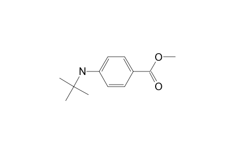 Benzoic acid, 4-(tert.-butyl)amino-, methyl ester