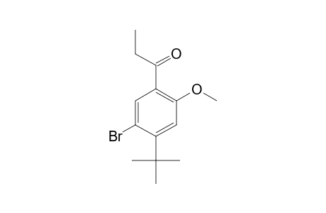 5'-bromo-4'-tert-butyl-2'-methoxypropiophenone