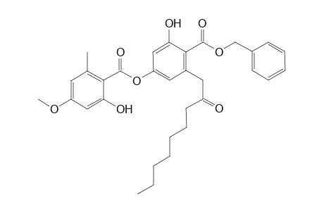 Benzyl patagonate