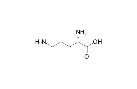 L-Ornithine