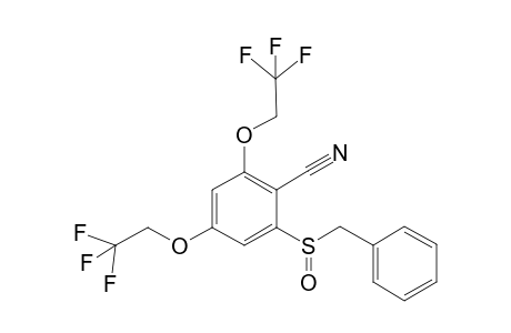 2-Phenylmethanesulfinyl-4,6-bis-(2,2,2-trifluoro-ethoxy)-benzonitrile