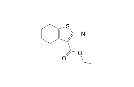 Ethyl 2-amino-4,5,6,7-tetrahydrobenzo[b]thiophene-3-carboxylate