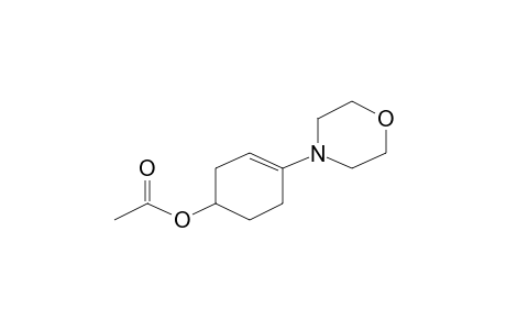 Acetic acid, 4-morpholin-4-yl-cyclohex-3-enyl ester