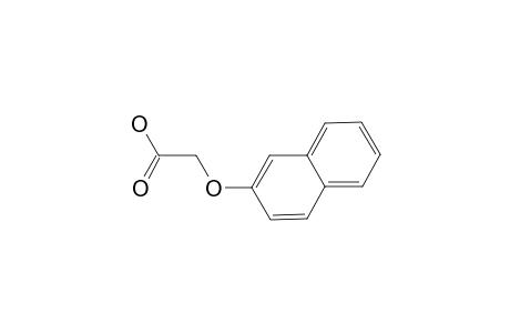 2-Naphthoxyacetic acid