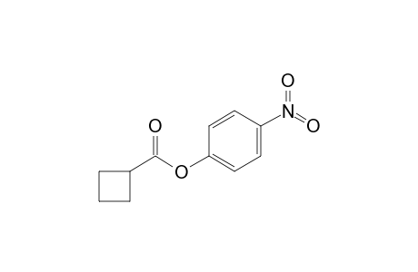 Cyclobutanecarboxylic acid, 4-nitrophenyl ester