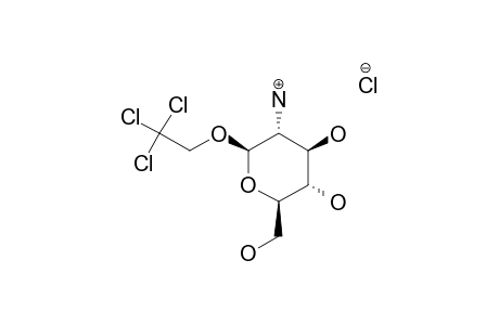 2,2,2-TRICHLOROETHYL-2-AMINO-2-DEOXY-BETA-D-GLUCOPYRANOSIDE-HYDROCHLORIDE